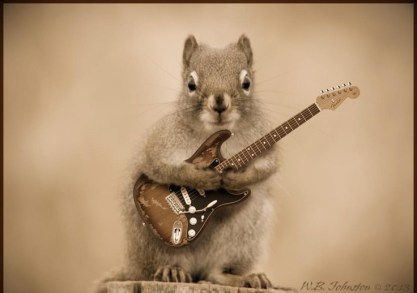 9e45cb9493c14c696a872107a1d1058b