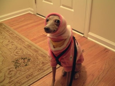 enhanced-buzz-10882-1358736387-1