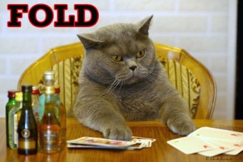 fold-poker-cat