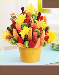 t_watermelon_kiwi_base_e121_w