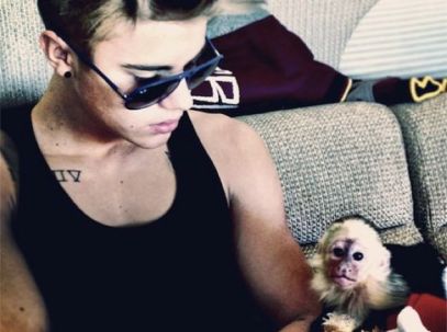 c_fit,fl_progressive,q_80,w_636