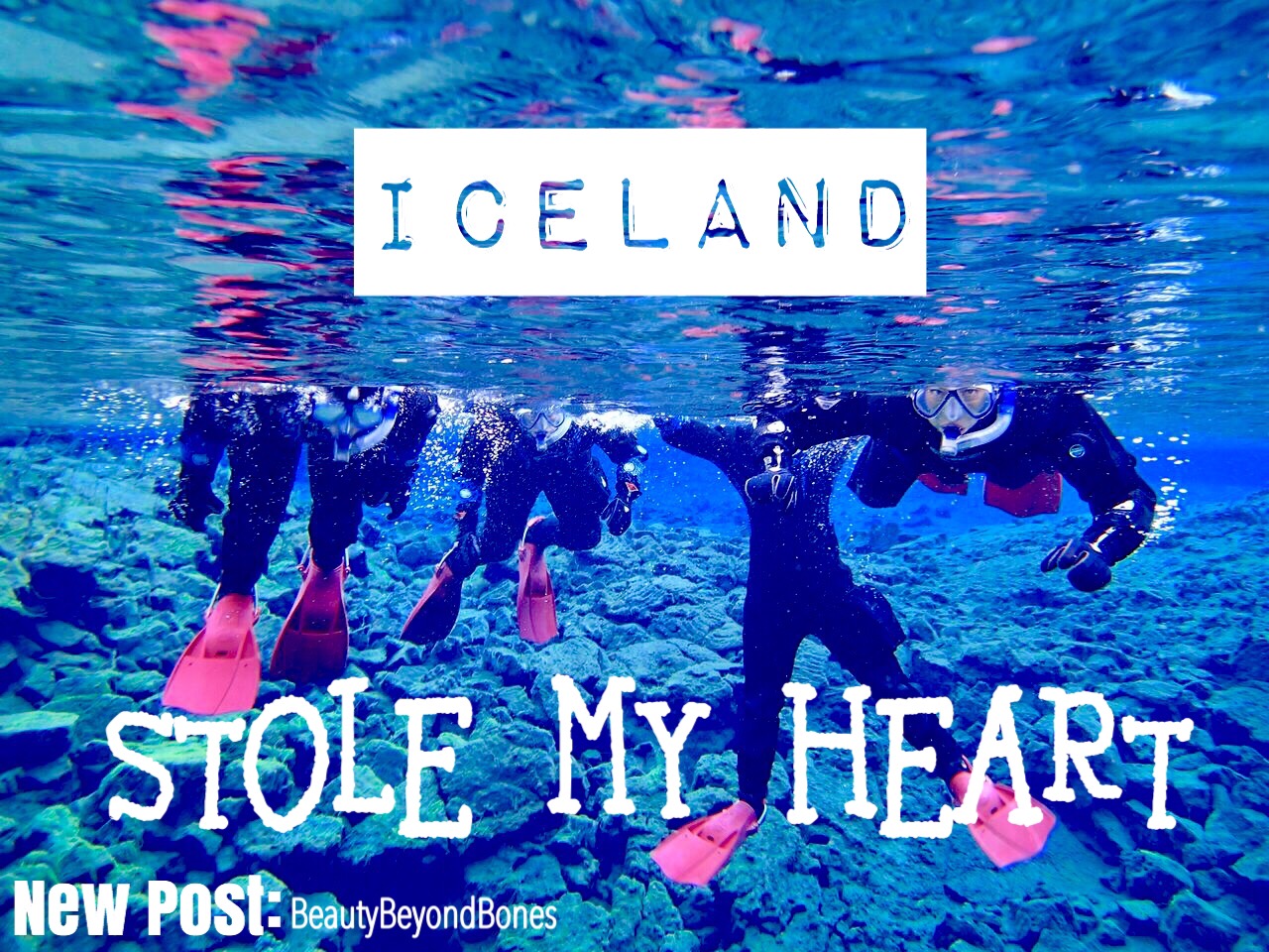 ICELAND STOLE MY HEART