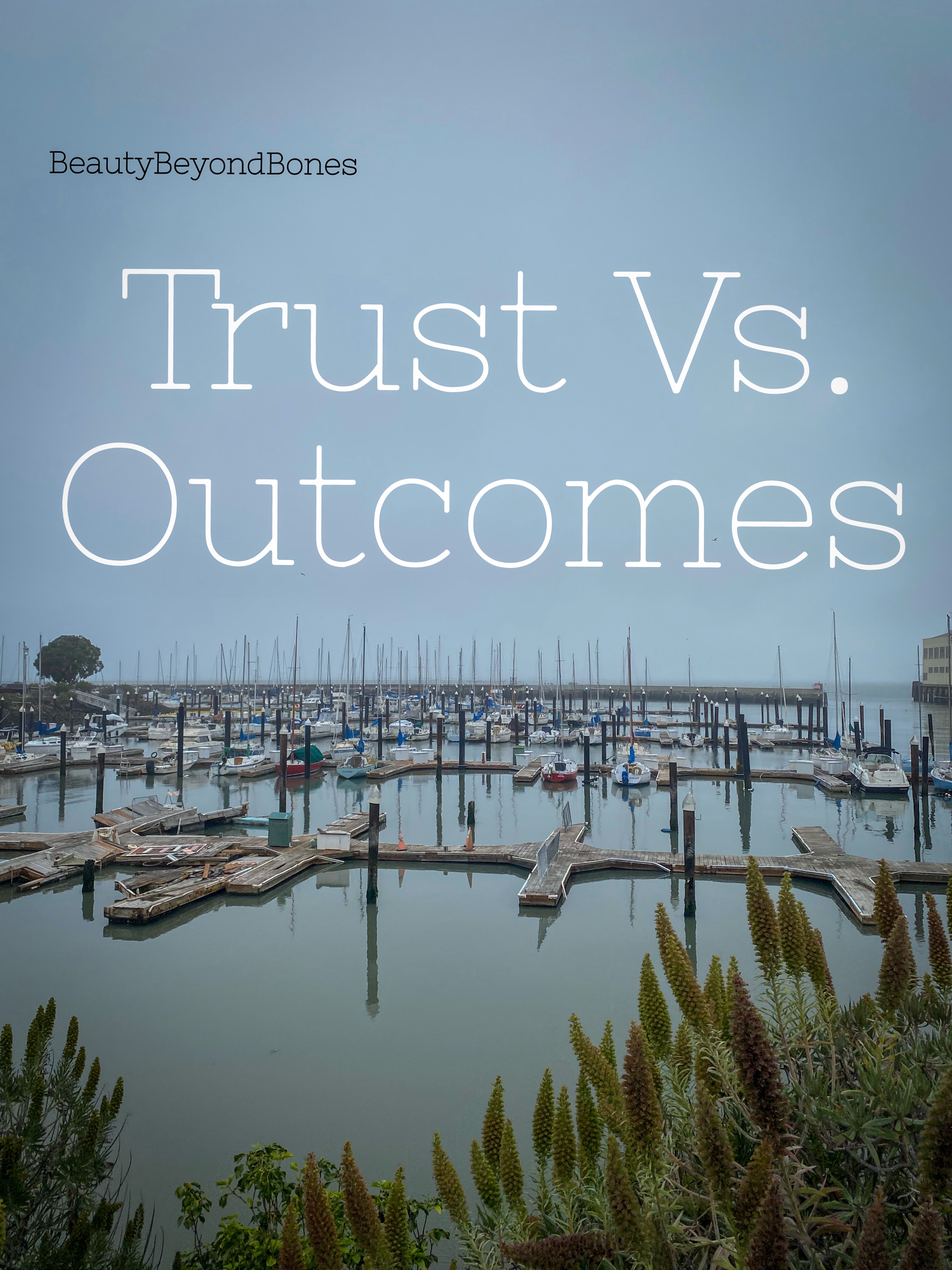 Trust Vs. Outcomes