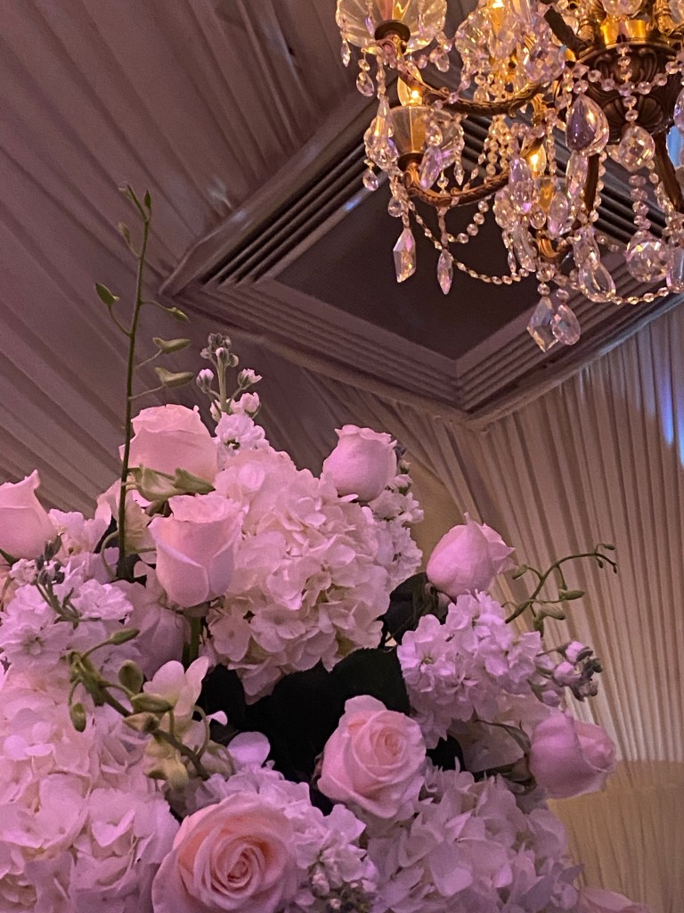 Dormant does not mean dead. Especially when it comes to our heart garden. How recovery plays into our ability to love, and just what happens when our heart finally blooms! #recovery #anorexia #eatingdisorder #edrecovery #healing #mentalhealth #god #bible #catholic #christianity 