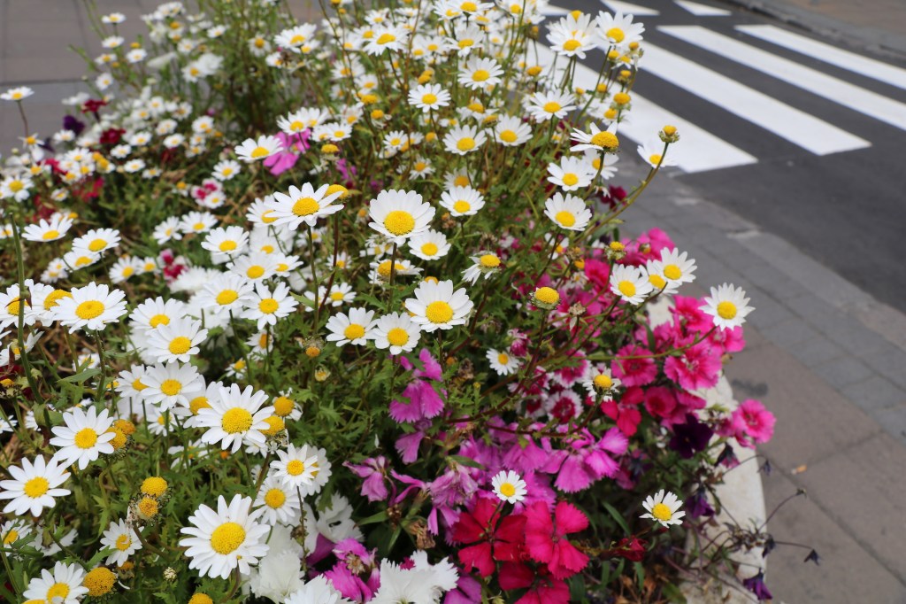 It's easy to feel alone as a Christian in NYC. And that isolation often leads to spiritual stagnation. The antidote is a lot simpler than one might think. #catholic #faith #god #community #nyc #jesus #christianity #life #mentalhealth #spirituality