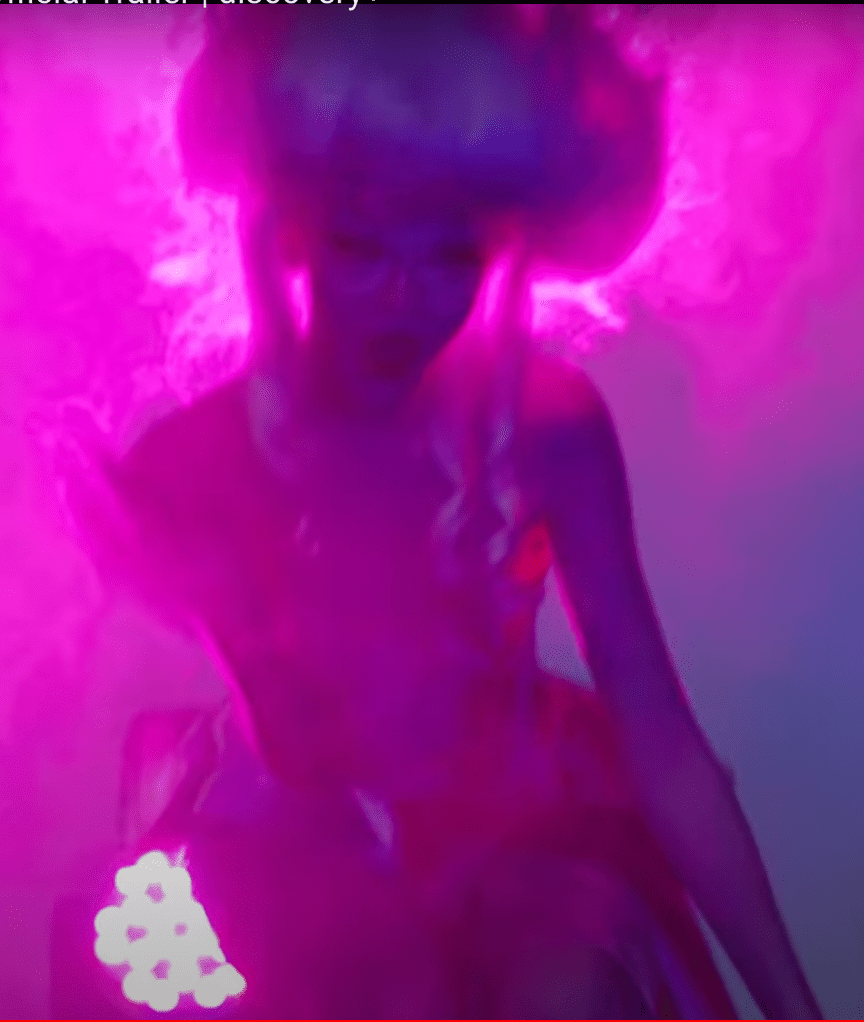 There is a war going on over the souls of our children. Discovery+ is releasing their new show: Generation Drag, about child drag queens. This is grooming 101. It is child abuse. #catholic #generationdrad #tyrabanks #parenting #faith #lgbtq #discoveryplus #family #god #edrecovery