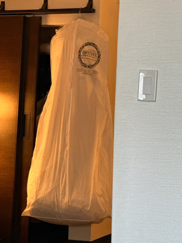 Flying with my wedding dress from NYC to Ohio was quite the debacle! Here are my tips, plus the saga of it all! #engaged #engagememt #bridetobe #wedding #weddingdress #travel #flying #traveltips #life #gettingmarried