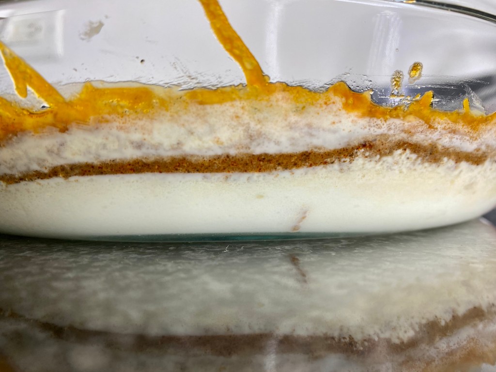 Cincinnati Skyline Chili Dip by BeautyBeyondBones #food #dinner #yum #edrecovery #cheese