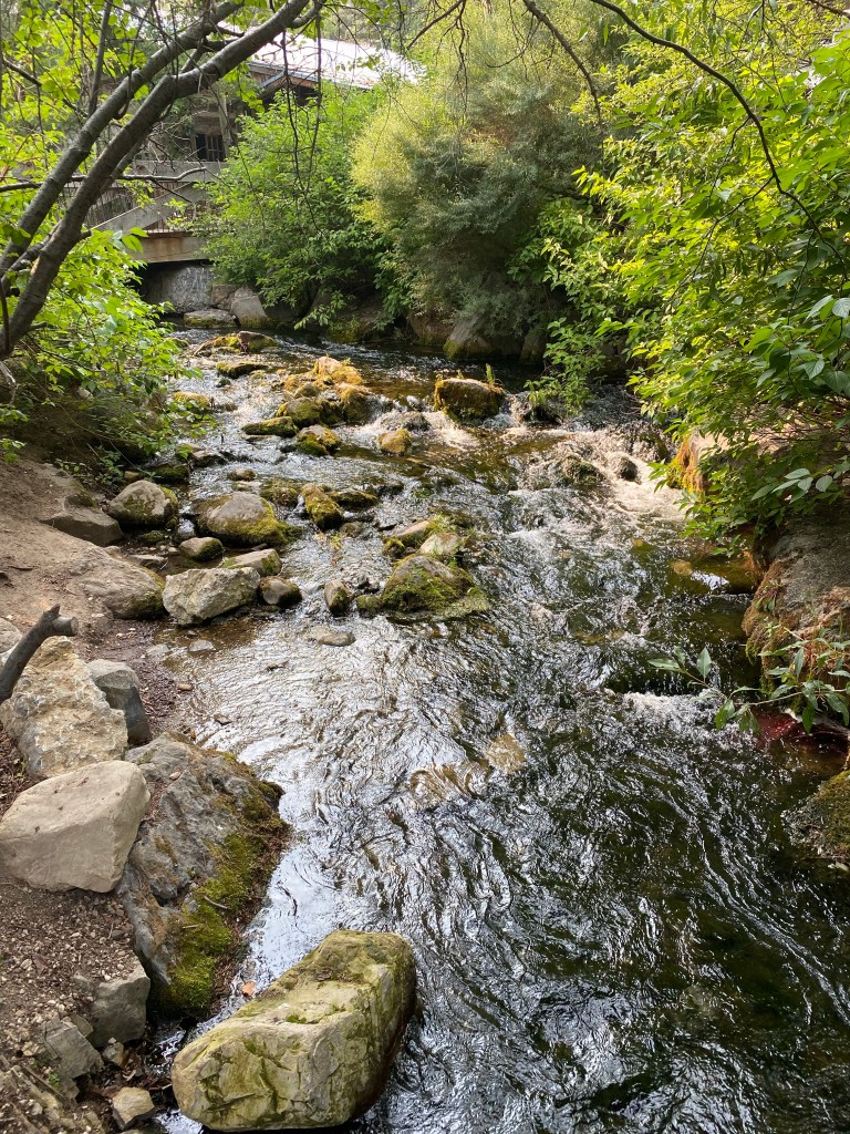 Utah's mountain way of life has a lot to offer. Turns out, when you unplug from technology, there's so much life out there to enjoy! #summer #life #recovery #jesus #god #catholic #christianity #travel #utah #technology 