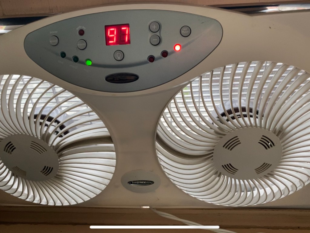 This rustically fabulous dish is as delicious as it is gorgeous! Pesto Butternut Squash Boats! Packed with flavor, this is one healthy #dinner your family will love! #glutenfree #vegetarian #vegan #keto #lowcarb #paleo #food #healthy #recipe 