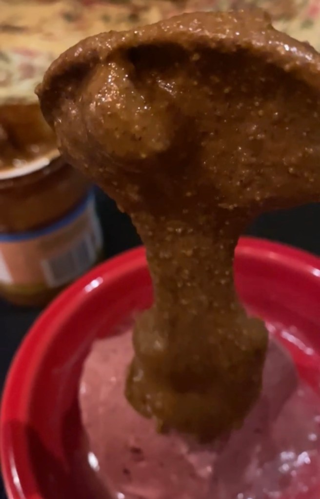 From bed rest to thriving! How the Specific Carbohydrate Diet has kept my Ulcerative Colitis in remission, and what I eat on a normal day! Plus…HOW MANY calories does this anorexia survivor eat?! #food #specificcarbohydratediet #ulcerativecolotis #crohns #health #glutenfree #keto #cooking #anorexia #recovery 