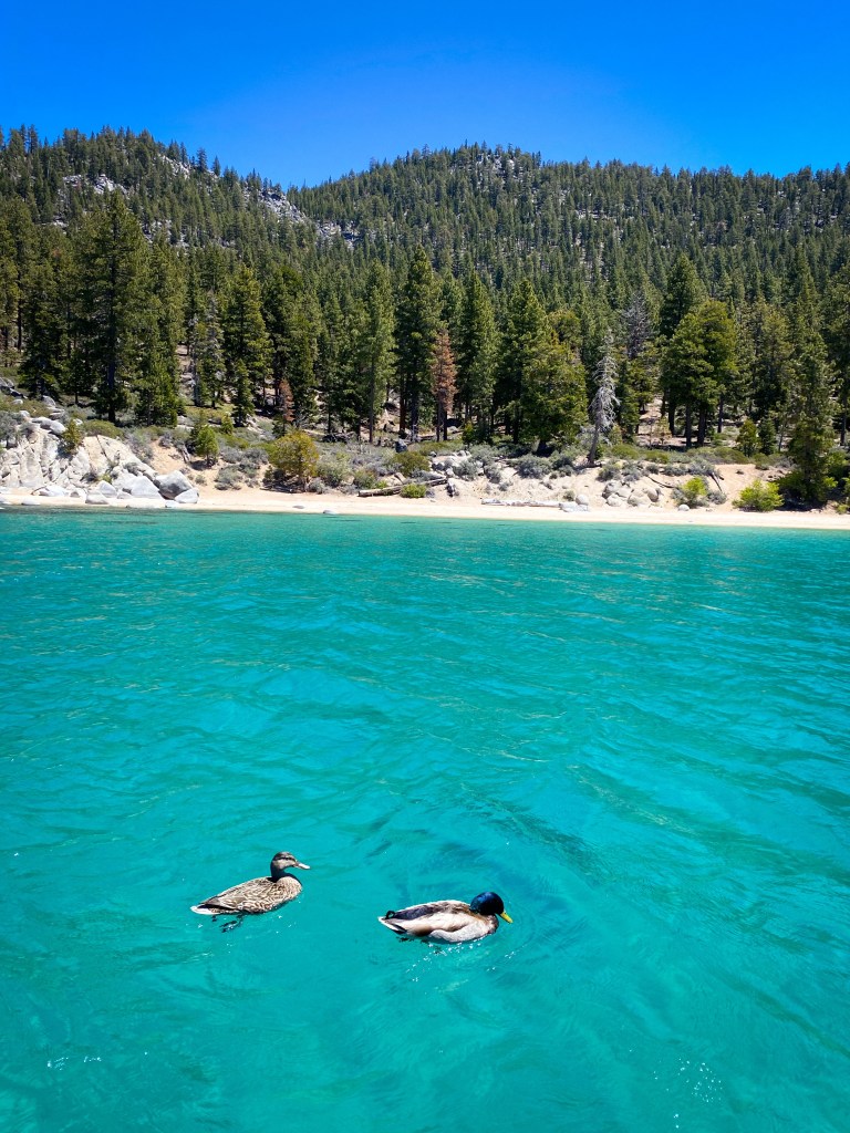 The girls take Lake Tahoe! Sharing our adventures on my best friend’s #bachelorette party! #laketahoe #travel #wedding #california #summer #friendship #getaway #wanderlust #blog