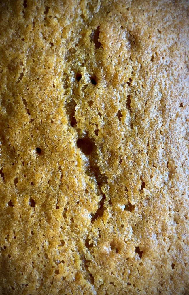 This is my family's TOP SECRET PUMPKIN BREAD recipe! It's been in our family for over 50 years and it is THE BEST thing you will ever eat. I'm serious. IT ROCKS! #food #recipe #baking #dessert #breakfast #family #goodeats #yummy #bread #pumpkin