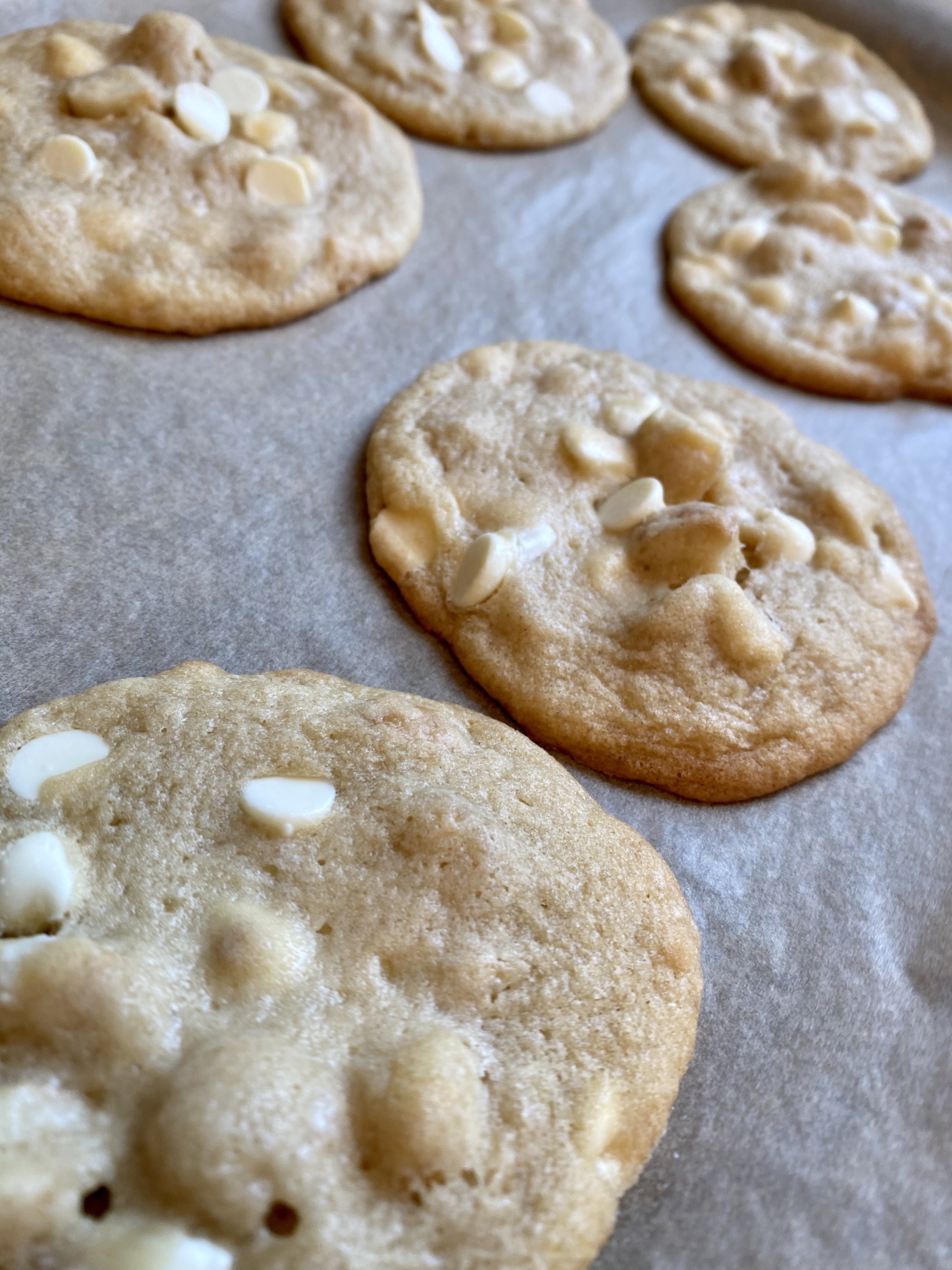 White Chocolate Macadamia Nut Cookies by BeautyBeyondBones! #dessert #baking #food #sweets #cookie #vegetarian #edrecovery 